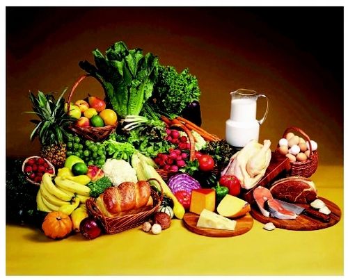 nutrition